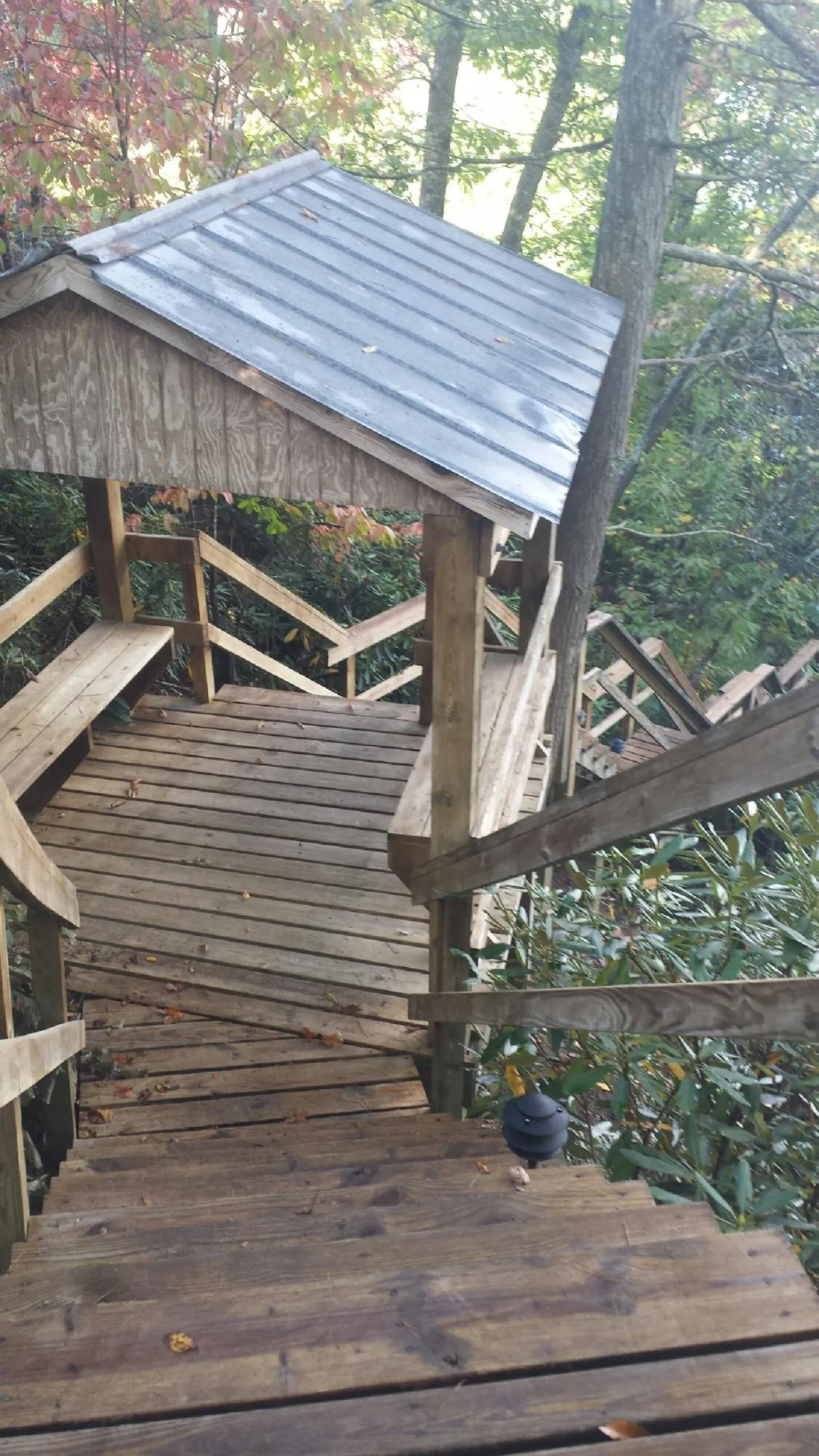 Metal roofed shelter over wooden steps on a wooded walkway — Skylight Repair & Installation work by our crew in Rosebud