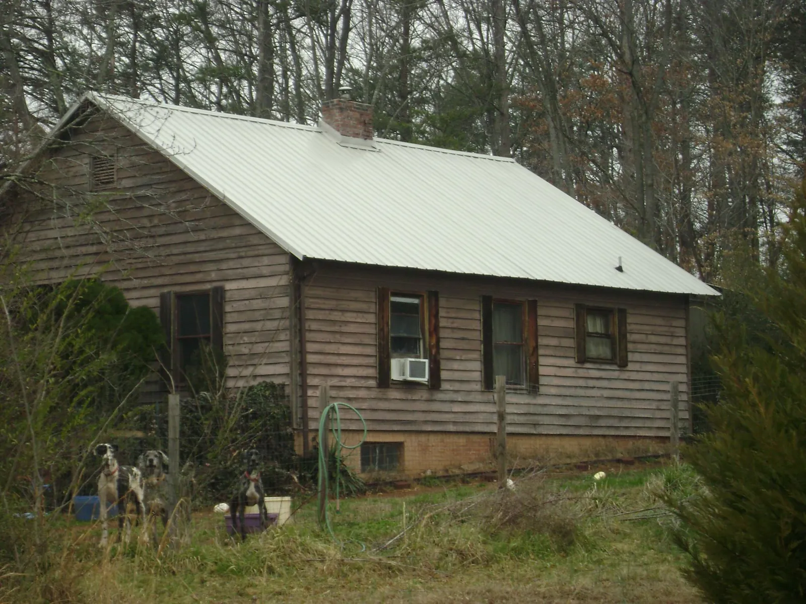 White metal roof on an old wood sided farmhouse, from a Asphalt Shingle Roof Repair job in Rosebud